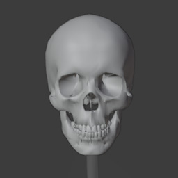skull1.jpg