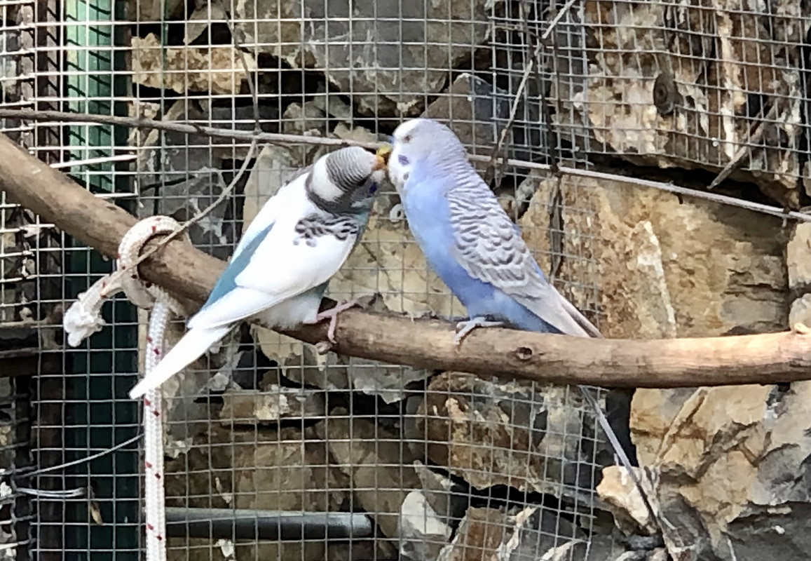 F29EDD20-4A11-4881-820A-0ED147BDBB98