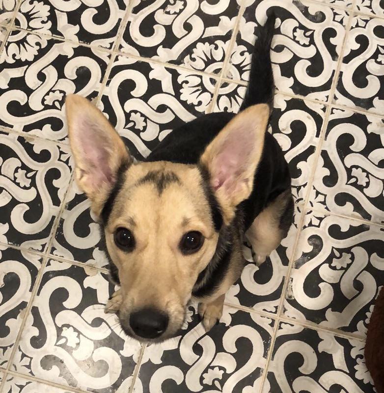 2CC2D5A9-754C-4AEC-A0A0-CAAA429616ED