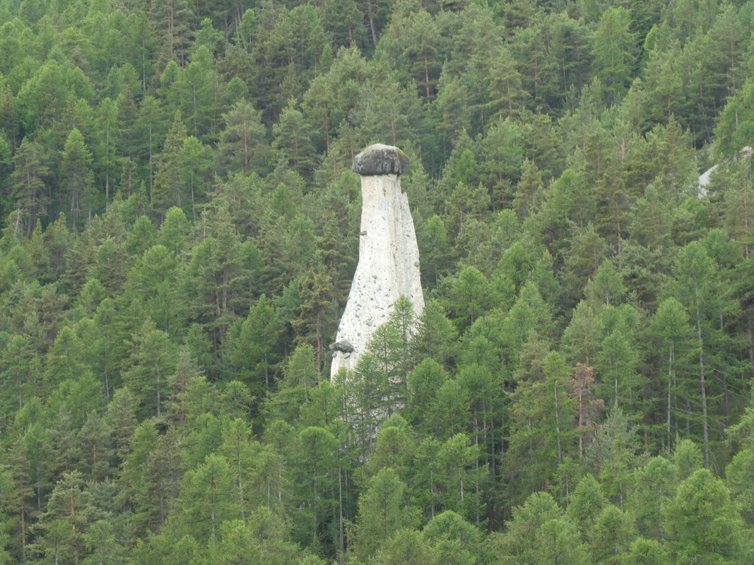 P1000709