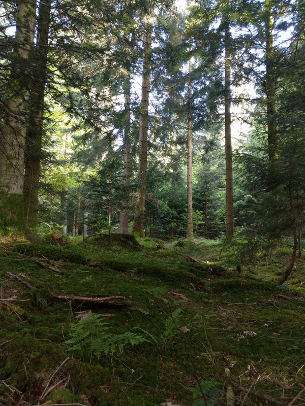 BC9F4F45-6CF1-409D-9995-8D59CAFE5EB7