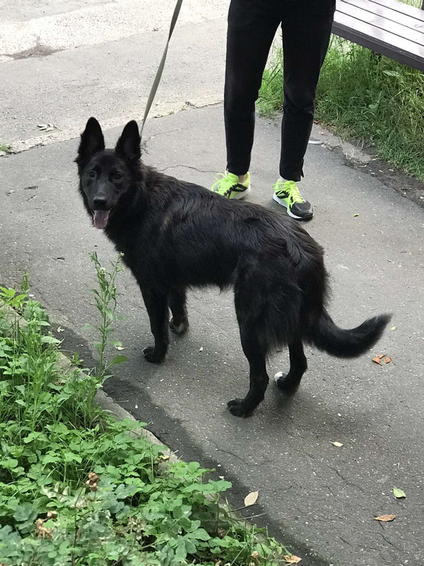 D2B1AE3C-D036-4290-BF49-6A06F7BC1142