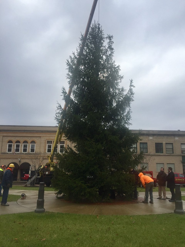 F14C8AF6-EFC4-48F5-9351-946E1474F9A2