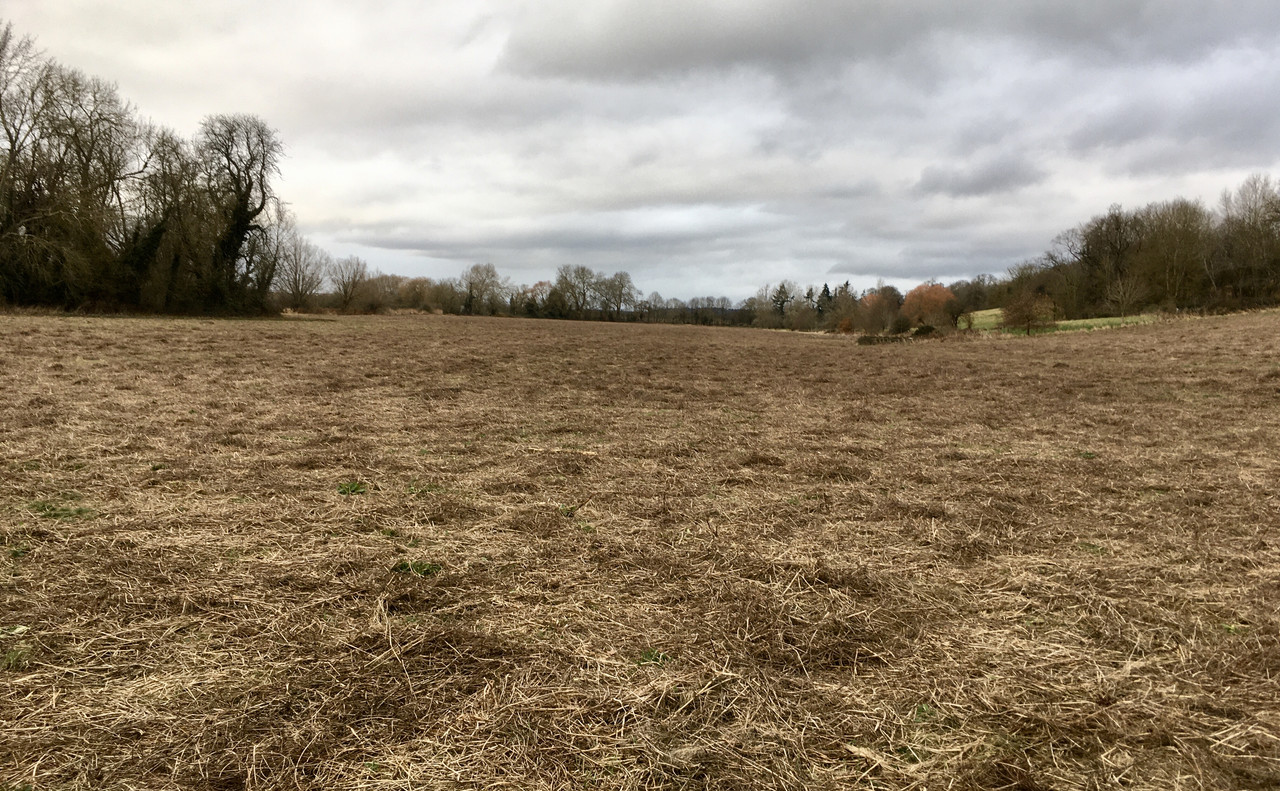 02D2A793-822B-47B8-9E73-447850D78E1D