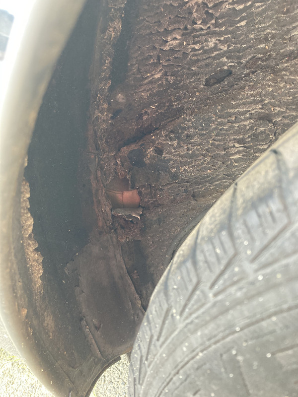 A217A54F-320E-41CA-A9B3-DCFB43306B30