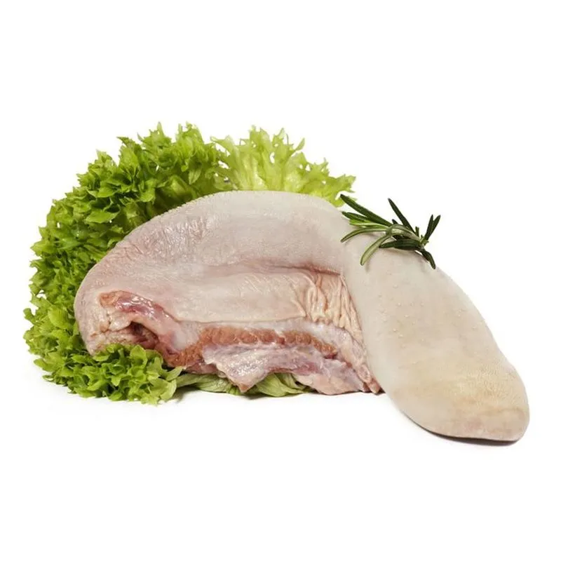 Lengua