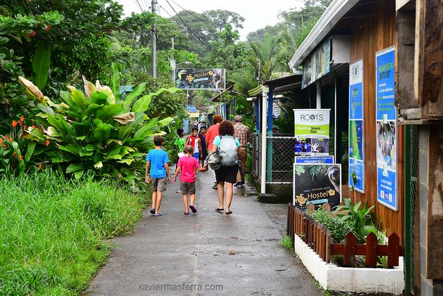 Costa Rica con niños. Julio-Agosto 2018 - Blogs de Costa Rica - Ibiza-San José- Tortuguero (6)