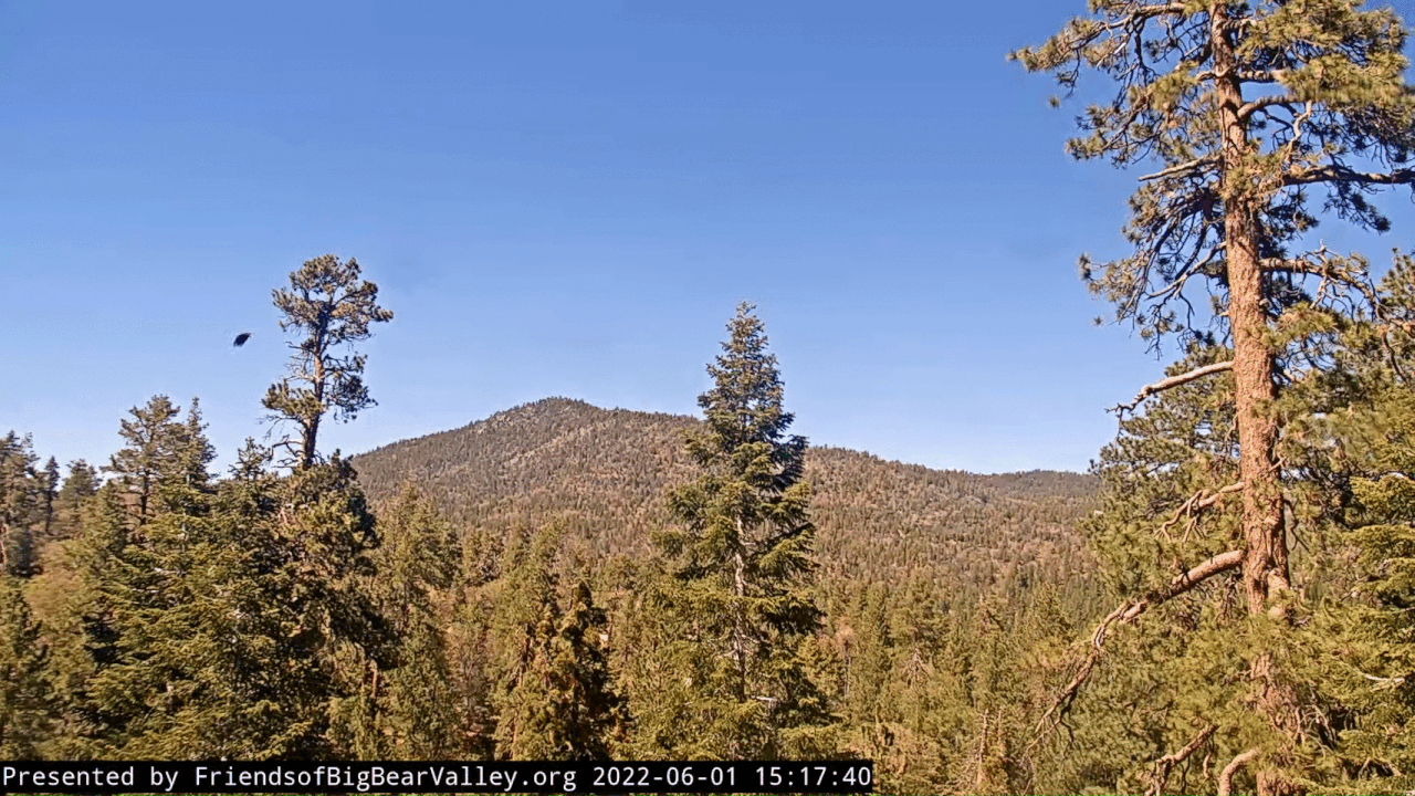 Webp.net-gifmaker (9)