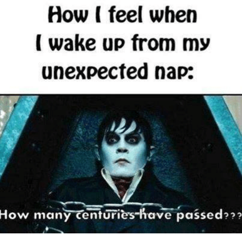 how-i-feel-when-wake-up-from-my-unexpected-nap-4437664
