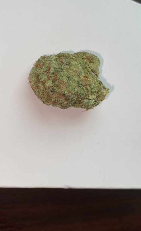 7316139C-81D1-4CC7-977F-97548F6E3F62