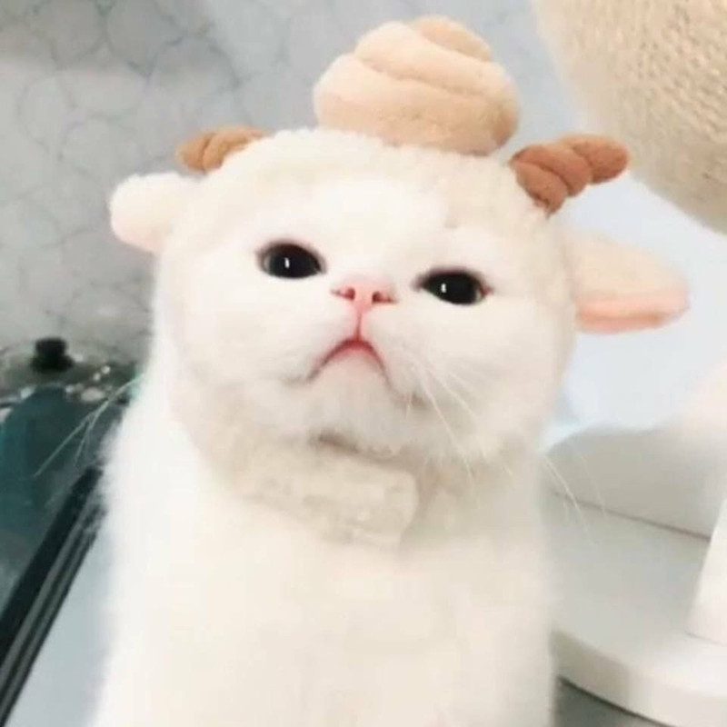 A1B93836-7D55-4BC5-AB08-39F0CB9DA5BE