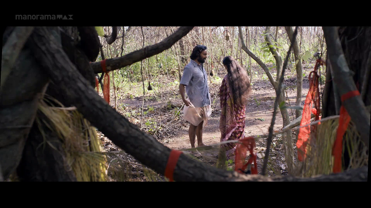 vlcsnap 2026 02 06 18h03m00s061