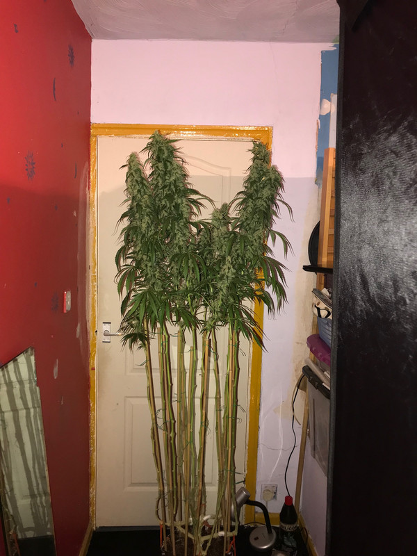 6F3D7672-6B0D-4EBD-AF5C-E41199523B3B