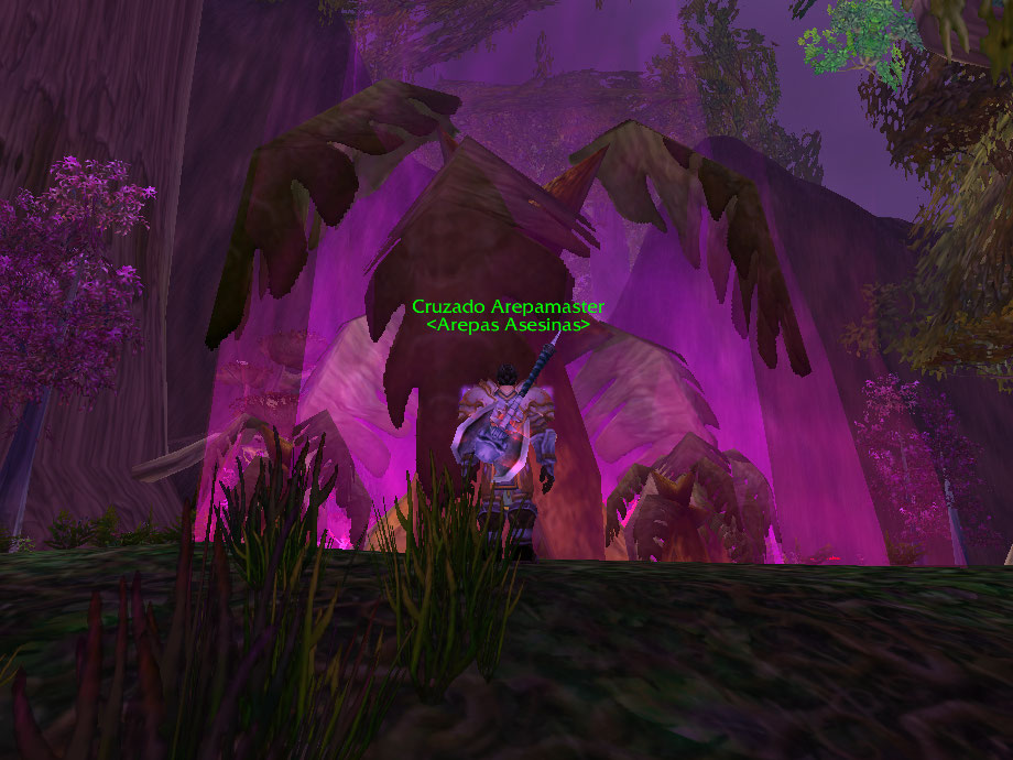 WoWScrnShot_091022_004654