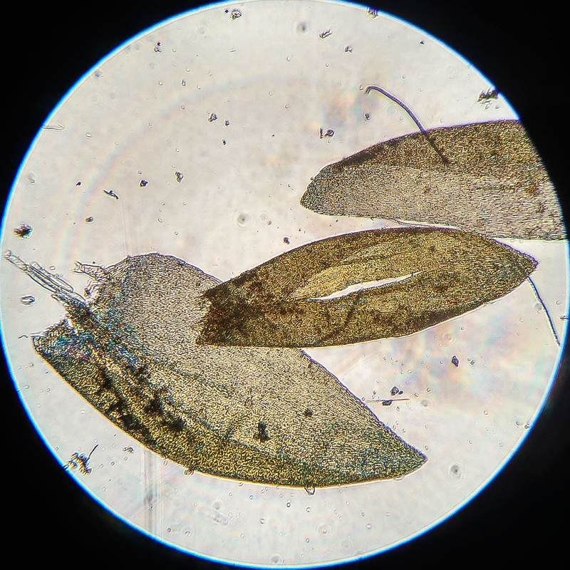 IMG 20250616 215827 HDR