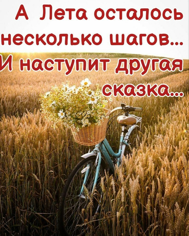 Прощай-август-2022-год-замечательные-открытки-и-фото-2