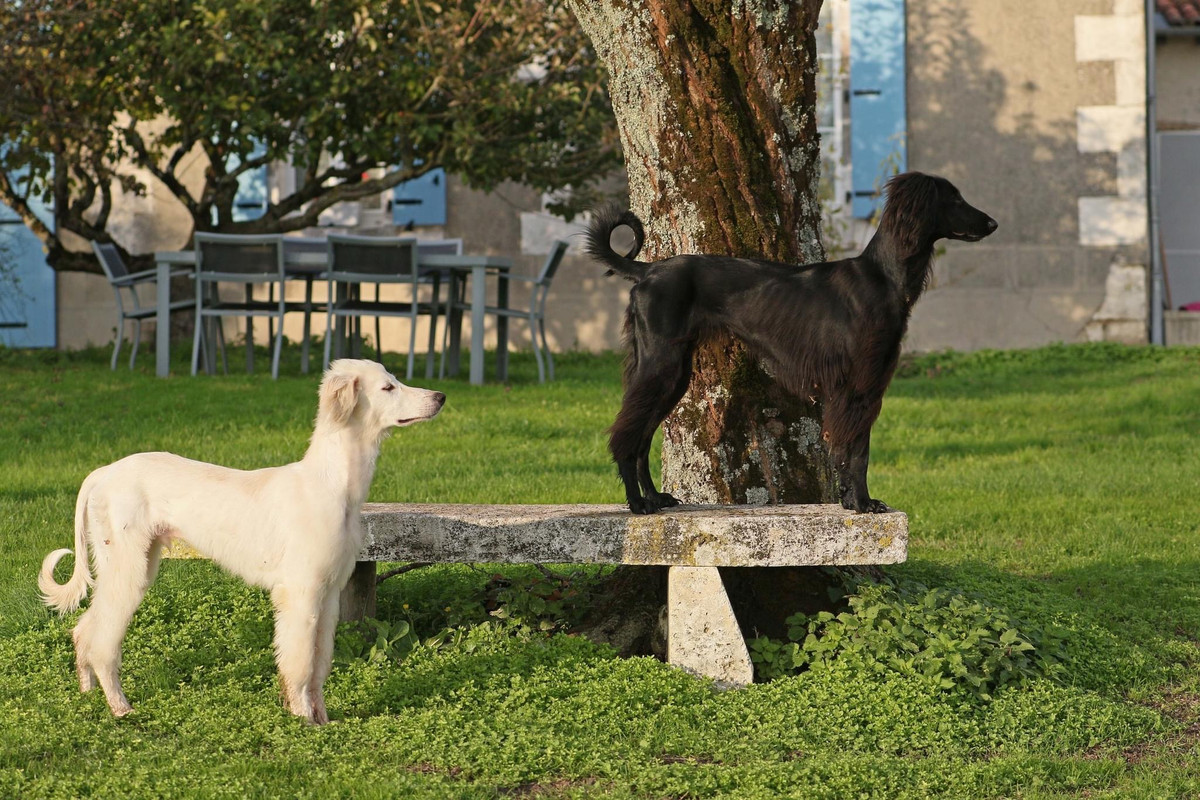 8291D4E6-9FD0-4E40-8BF6-24113C70655B