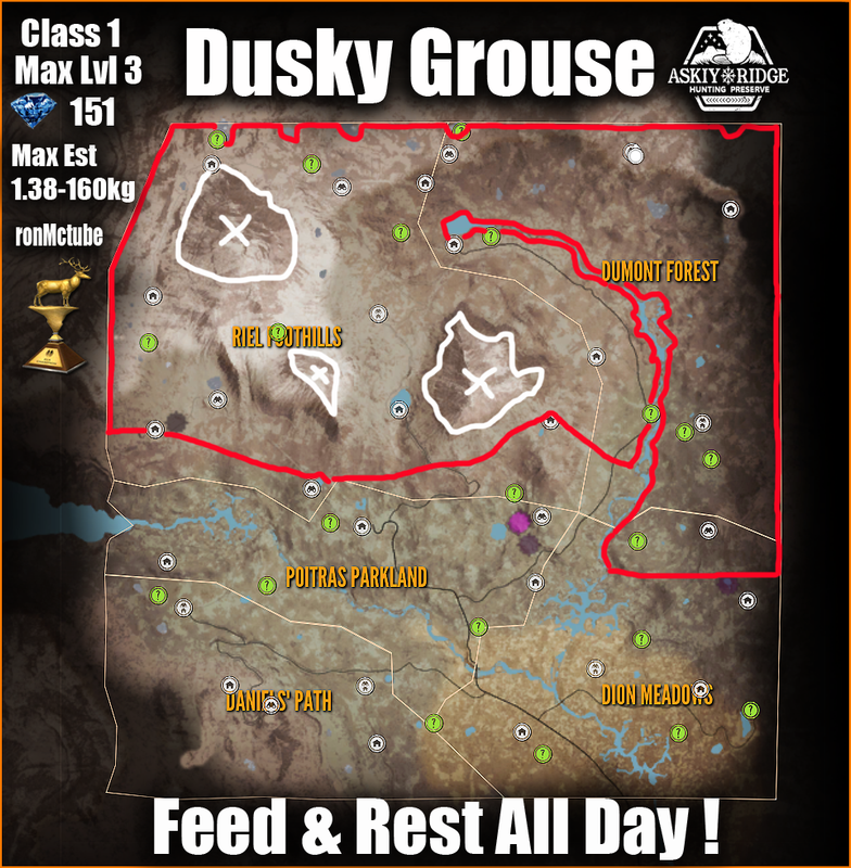 dusky-grouse-guide