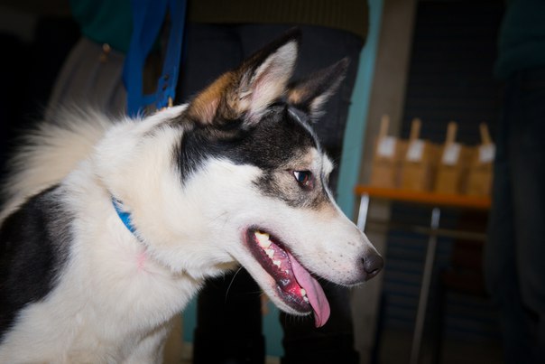 220BF712-A821-480A-9448-230FA17F006E