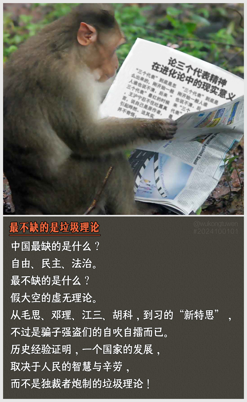 揭秘：为何蒋介石斗不过毛泽东（悟空图文20241001） - 新·品葱