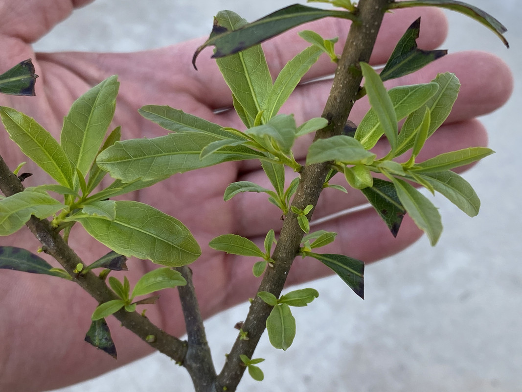 7B0D9987-75B9-4859-89E8-14A14CB6C457