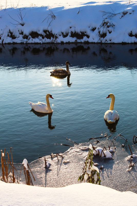 612638865-1996687587943407-1454884375297