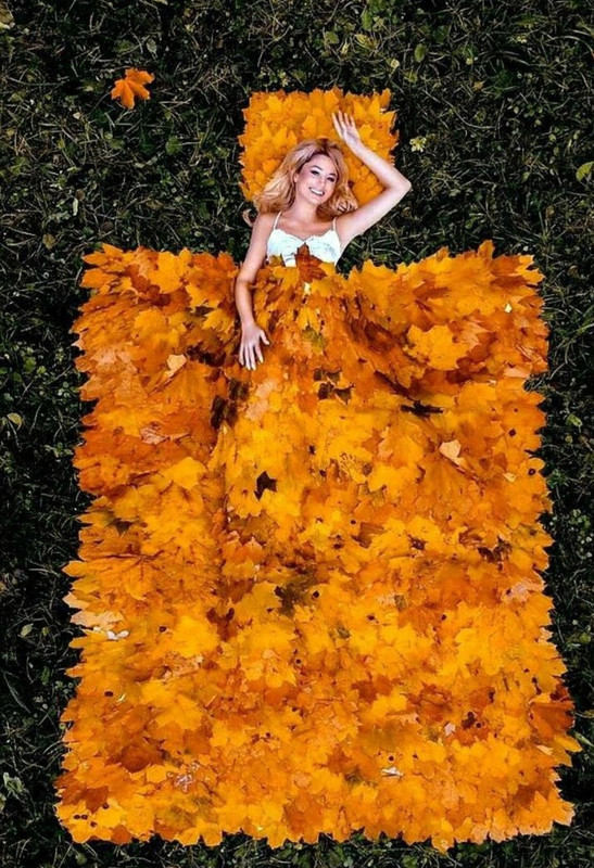 Screenshot_20221215-203937_Chrome