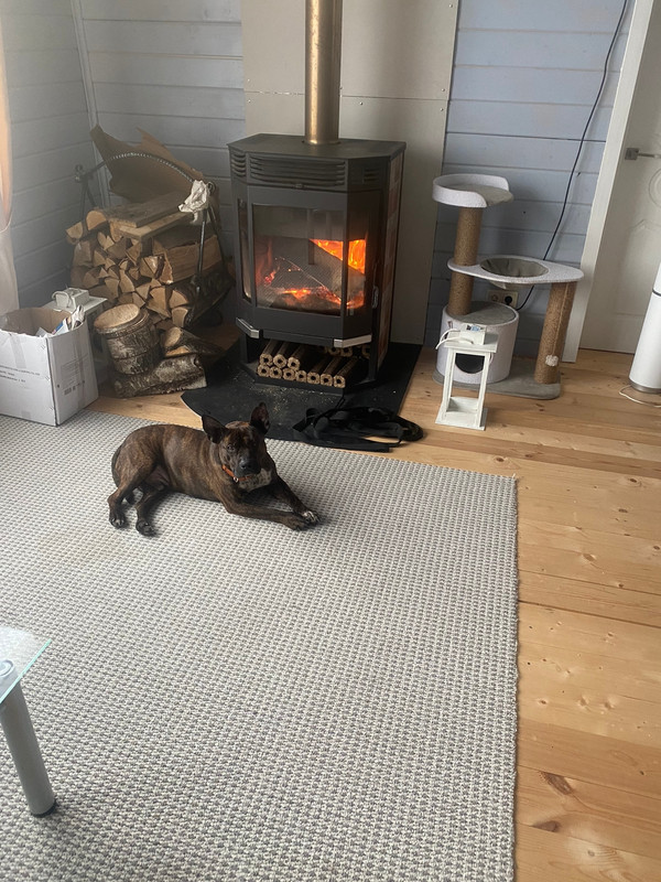 0AB7D8DE-4284-462B-8C34-3B481C9E9A94