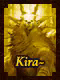 Kira-vO