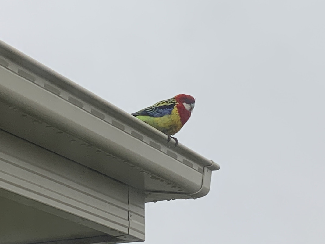 25CDE89A-A55C-4A26-BDE5-8EC9C3C9A144