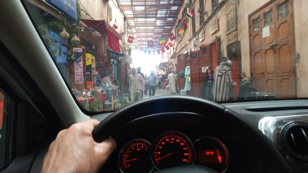 [Obrazek: IMG-20260223-121223-499.jpg]