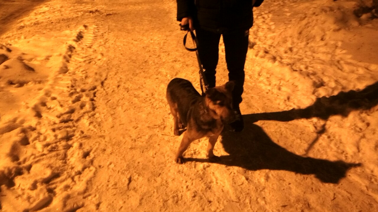 IMG-ea1a01598aebb4fc015af1ffcc051509-V