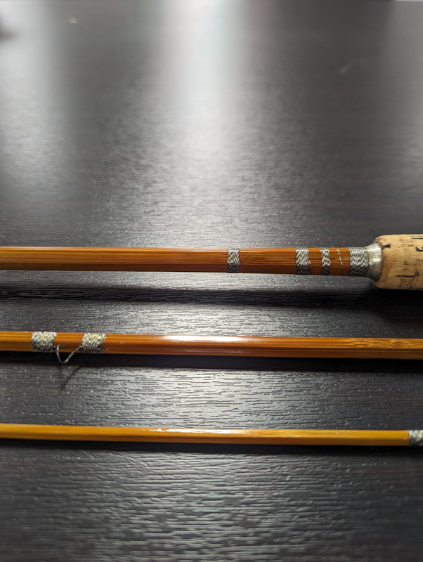 PXL_20240119_224650219.MP