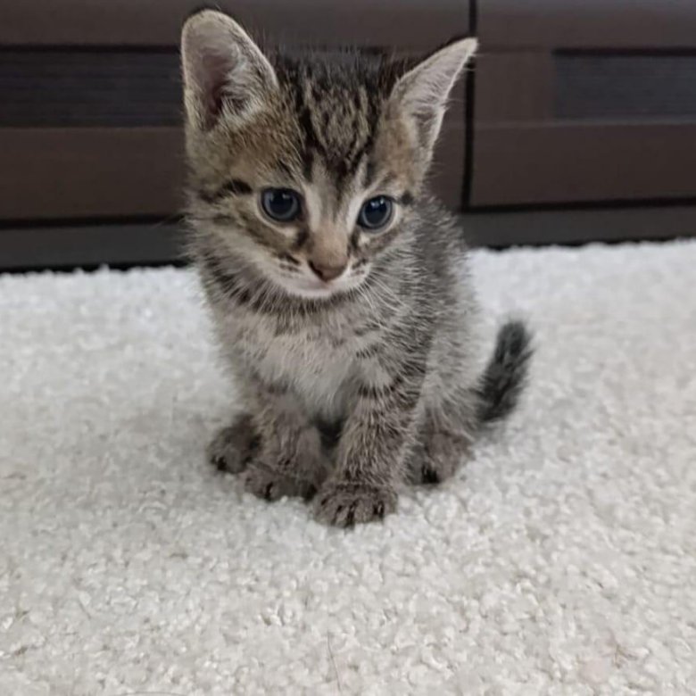 66b4bbf62d889f06b70bbacc-2