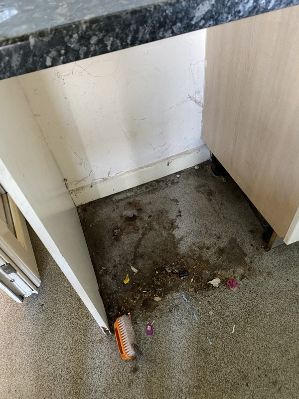 6C80DC34-4DBA-4352-95D0-28371E47526B