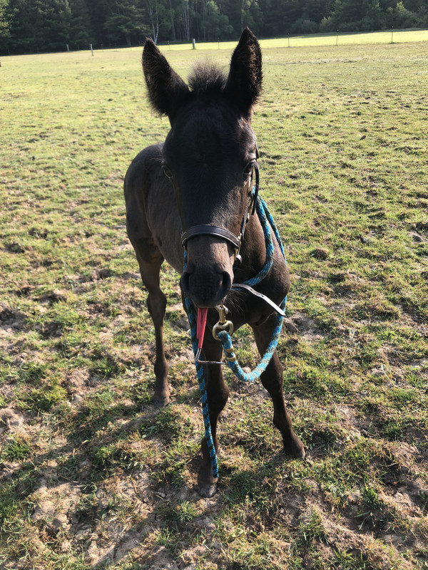 C68FDAC0-0B34-47EA-9C8C-5ACEFFD59114