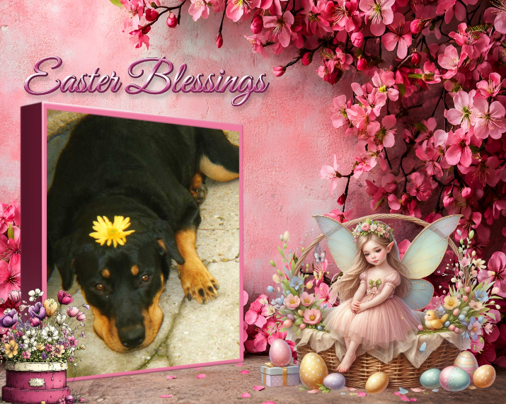 ( a 1 a Pâques Sally 4