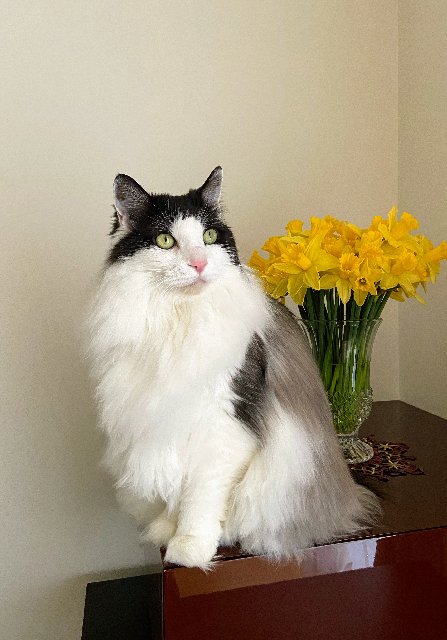 39-FDB47-E-7406-4-DE8-92-AB-257160071845