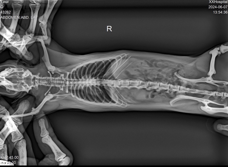 8022394A-0E0F-4AFC-9598-3001300E1BB9