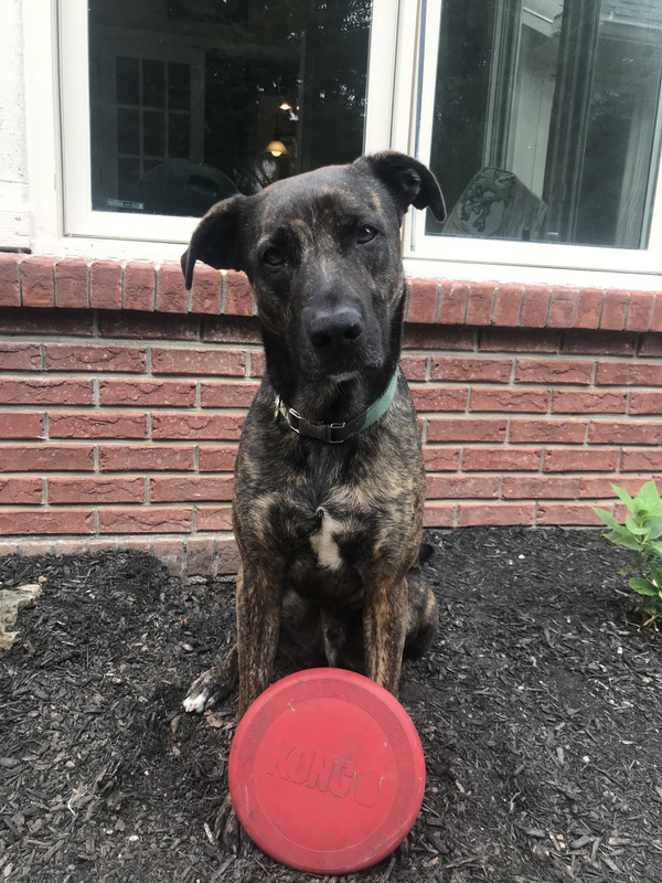 EF7FED18-A62C-44B2-84CC-BC638E1A5DEF