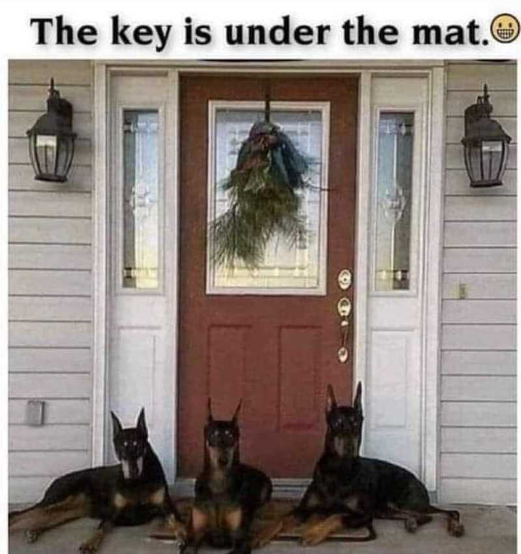 Screenshot 2026 05 22 at 13 57 43 Post a MEME Thread Page 5747 Yellow Bullet Forums