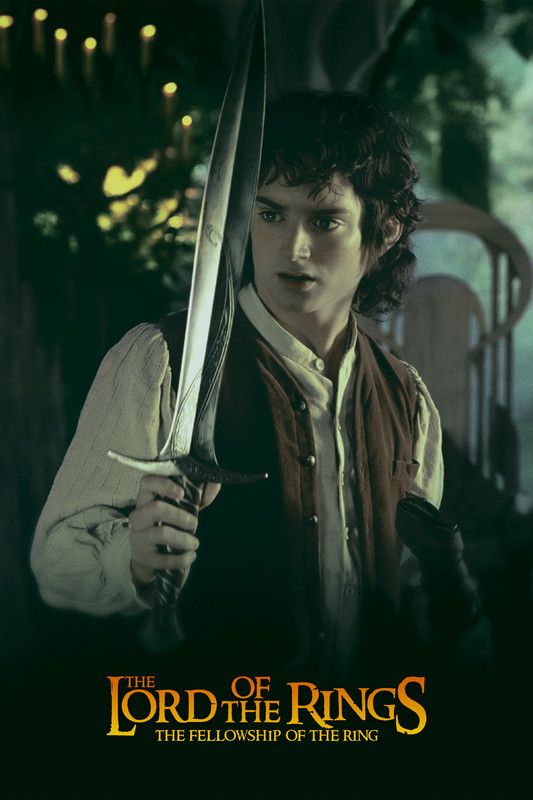 The Lord of the Rings- The Fellowship of the Ring (2001)