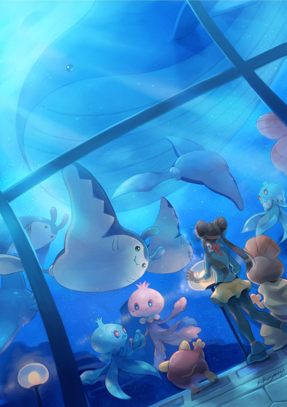 rosa-wailord-mantine-frillish-darumaka-a