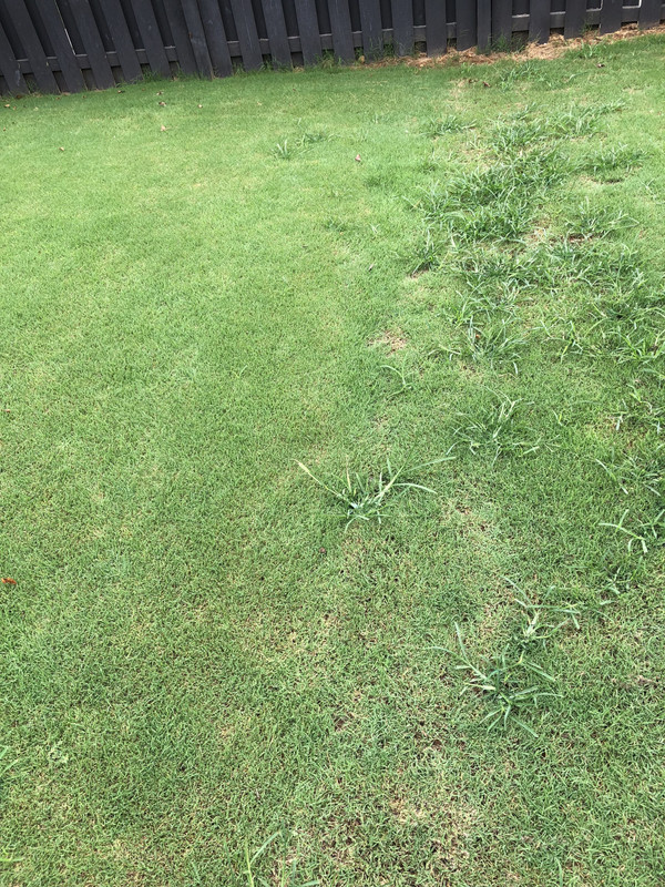 u4PjDNqeR7iCyAl5dlD3JA