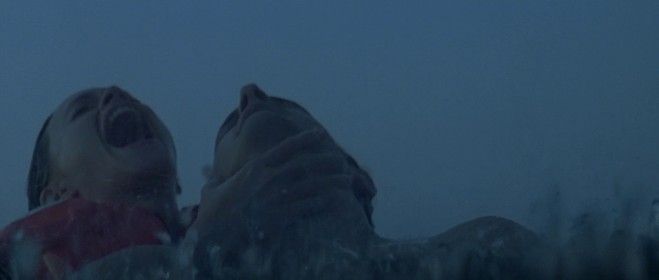 vlcsnap-2023-02-08-19h23m26s799