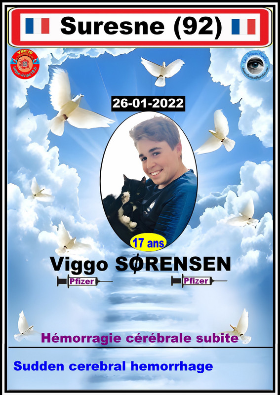 Désenfantés - Viggo