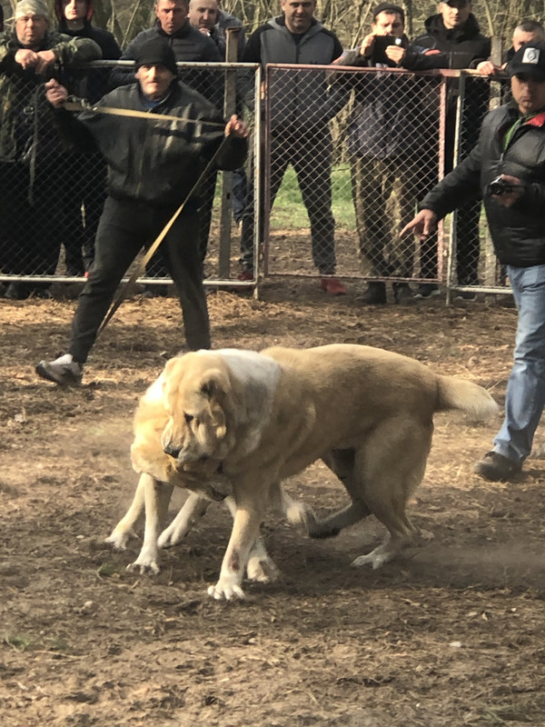 46187687-D457-4EC0-AC68-D55C8754916D