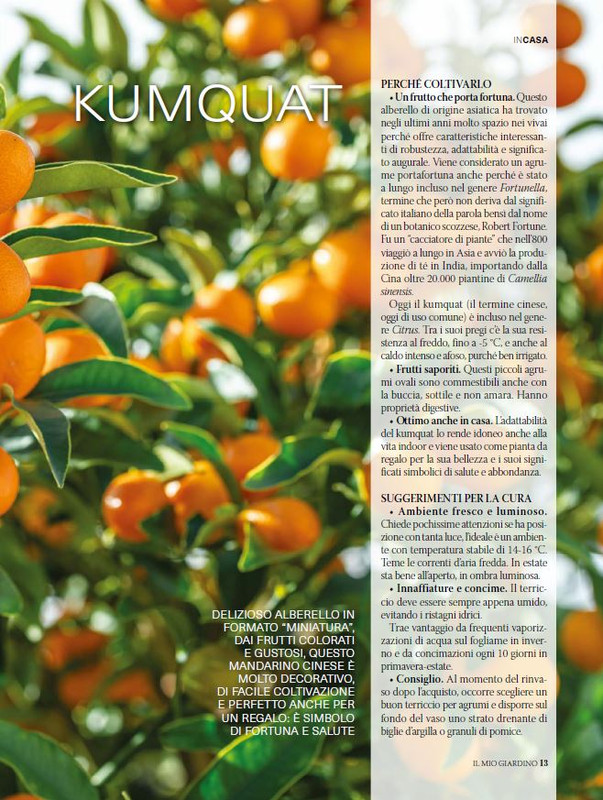 Il Mio Giar Dic 2024-Gen 2025 (2)