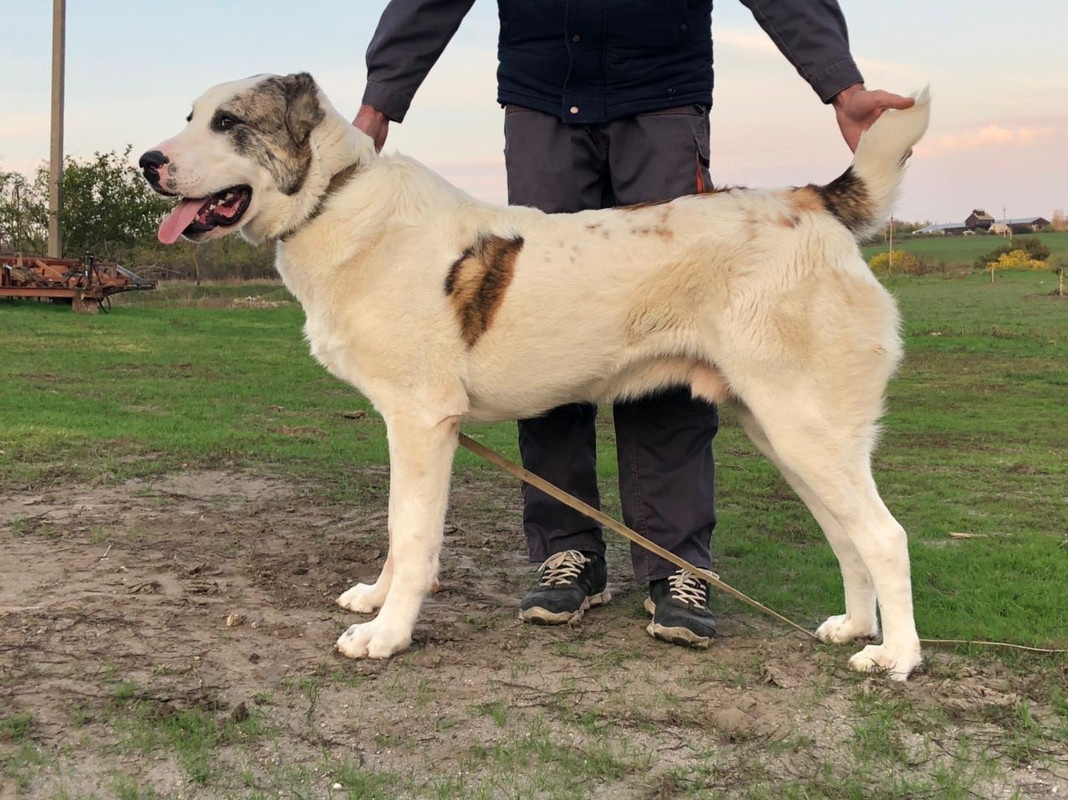 65C9D25D-2895-4EA2-961C-431D17FE00B4