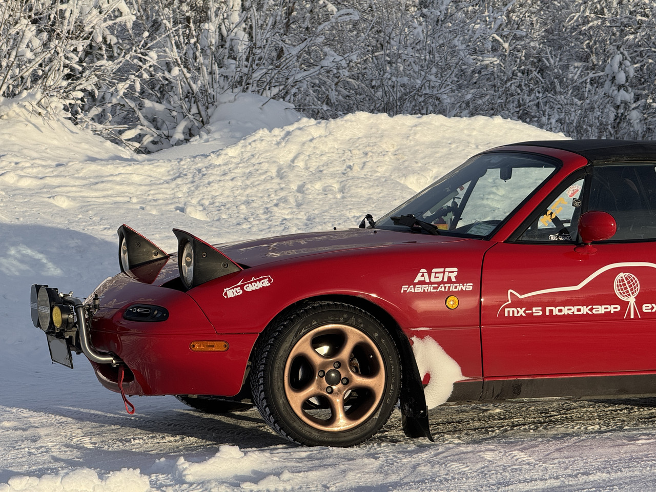 [Immagine: IMG_7591.jpg]